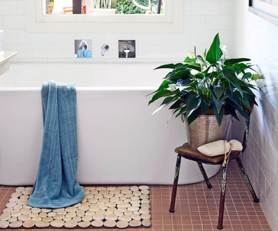 3 Reasons to have a peace lily in your bathroom