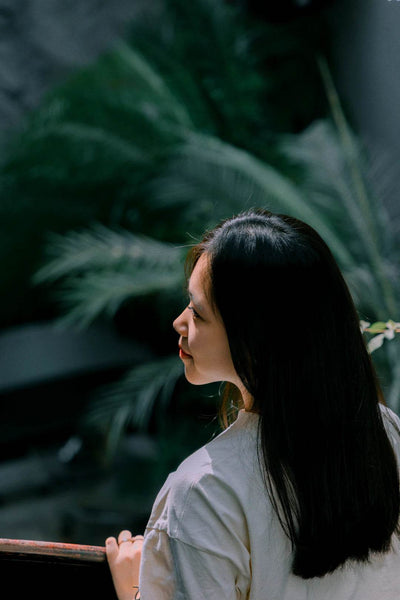 Grow Your Green Thumb: Popular Indoor Plants for Beginners