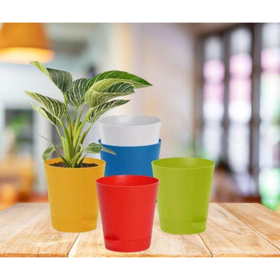 5 Self Watering Pots (4 Inches) - Inntinn.in