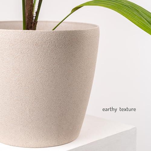 Bamboo Based Pots & Planter - Inntinn.in