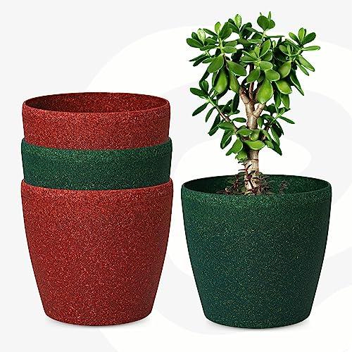 Bamboo Based Pots & Planter - Inntinn.in