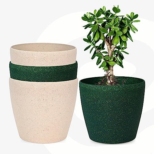 Bamboo Based Pots & Planter - Inntinn.in