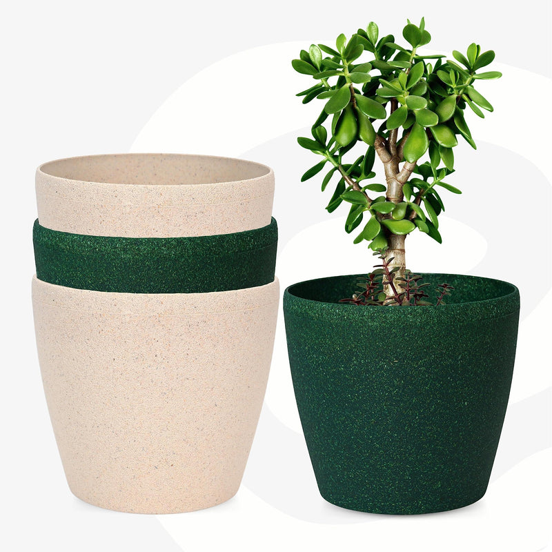 Bamboo Based Pots & Planter - Inntinn.in