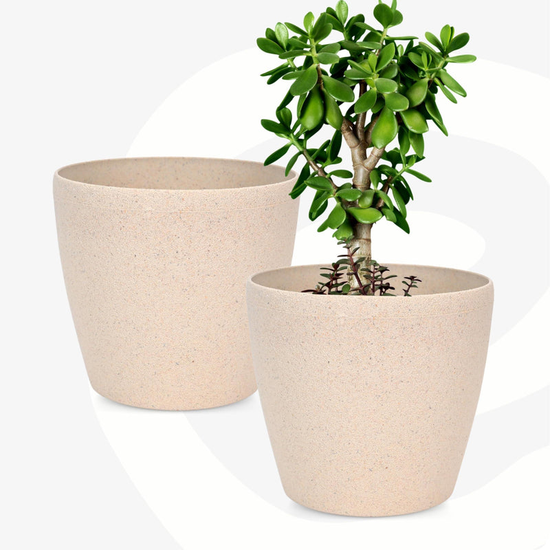 Bamboo Based Pots & Planter - Inntinn.in