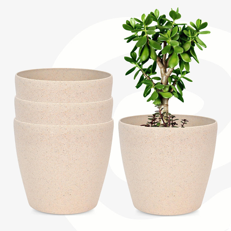 Bamboo Based Pots & Planter - Inntinn.in