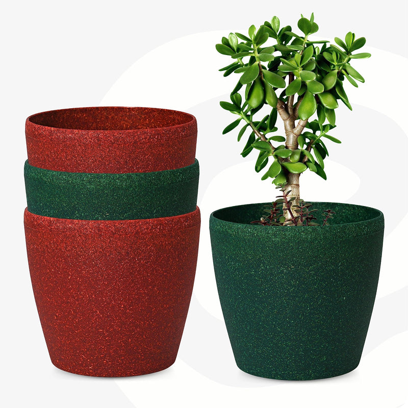 Bamboo Based Pots & Planter - Inntinn.in