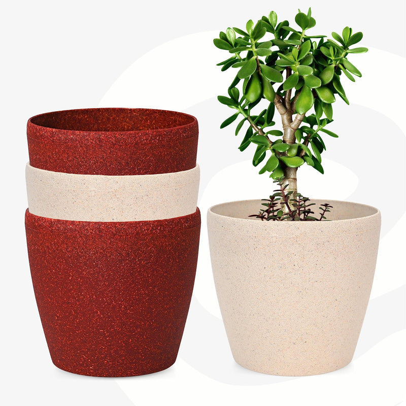 Bamboo Based Pots & Planter - Inntinn.in