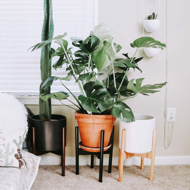 Bamboo Plant Pot Stand - Inntinn.in