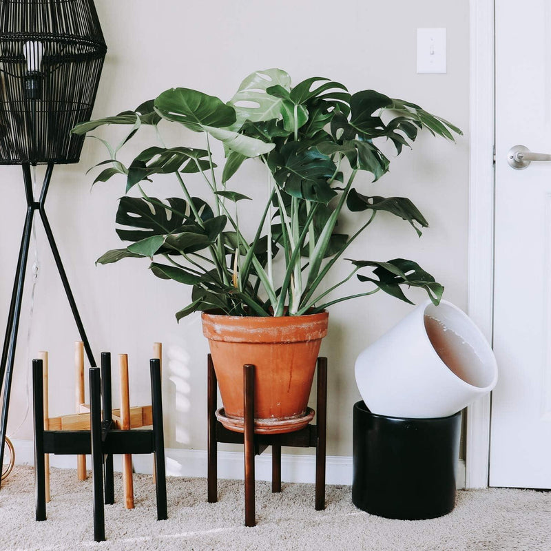 Bamboo Plant Pot Stand - Inntinn.in