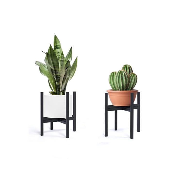 Bamboo Plant Pot Stand - Inntinn.in