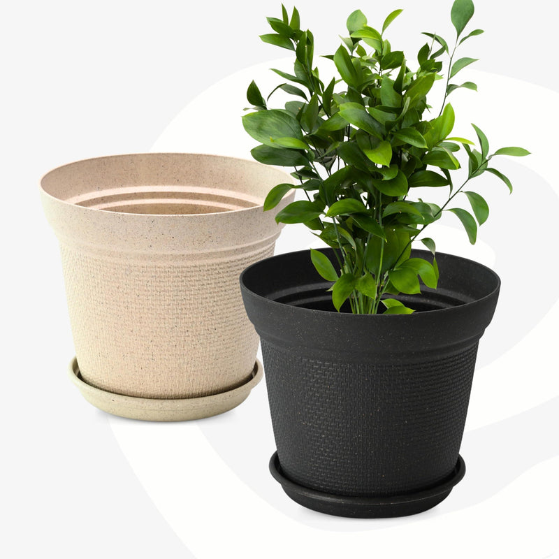 Eco Friendly Bamboo Based Pots - Inntinn.in