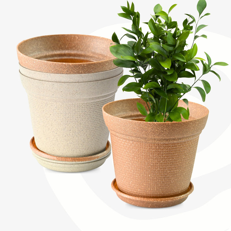 Eco Friendly Bamboo Based Pots - Inntinn.in
