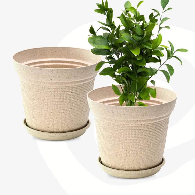 Eco Friendly Bamboo Based Pots - Inntinn.in