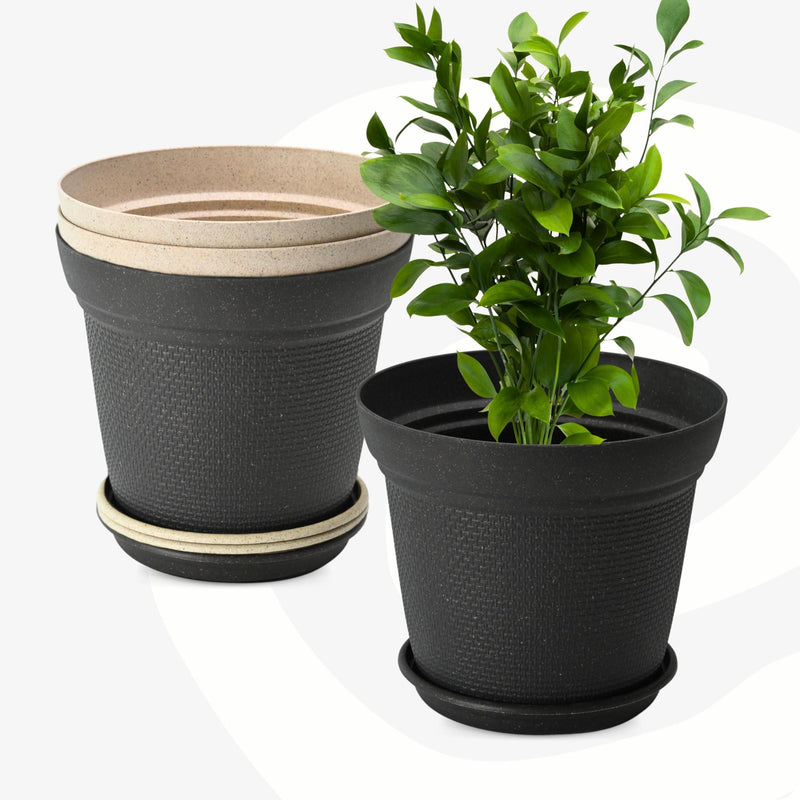 Eco Friendly Bamboo Based Pots - Inntinn.in