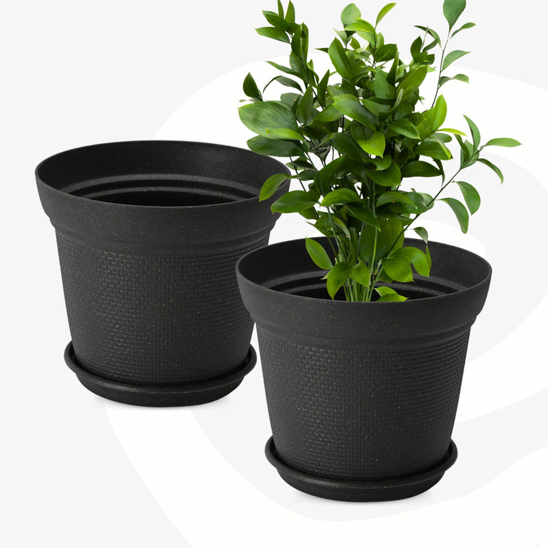 Eco Friendly Bamboo Based Pots - Inntinn.in