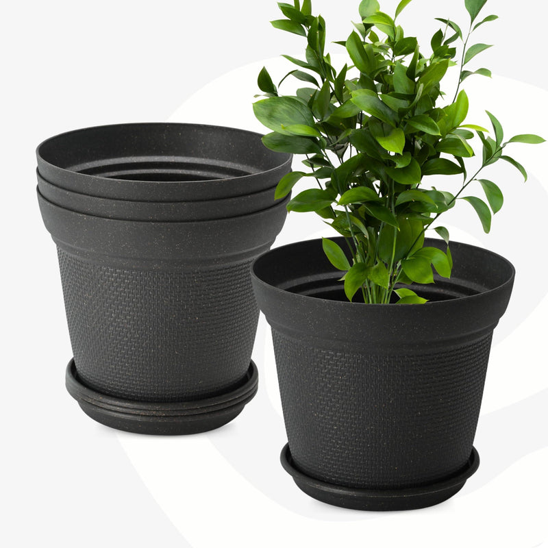 Eco Friendly Bamboo Based Pots - Inntinn.in