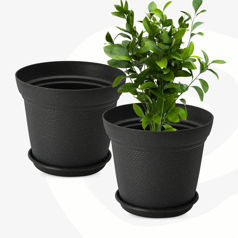 Eco Friendly Bamboo Based Pots - Inntinn.in