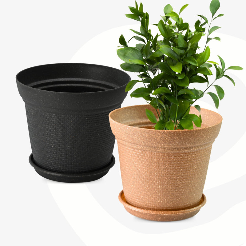 Eco Friendly Bamboo Based Pots - Inntinn.in