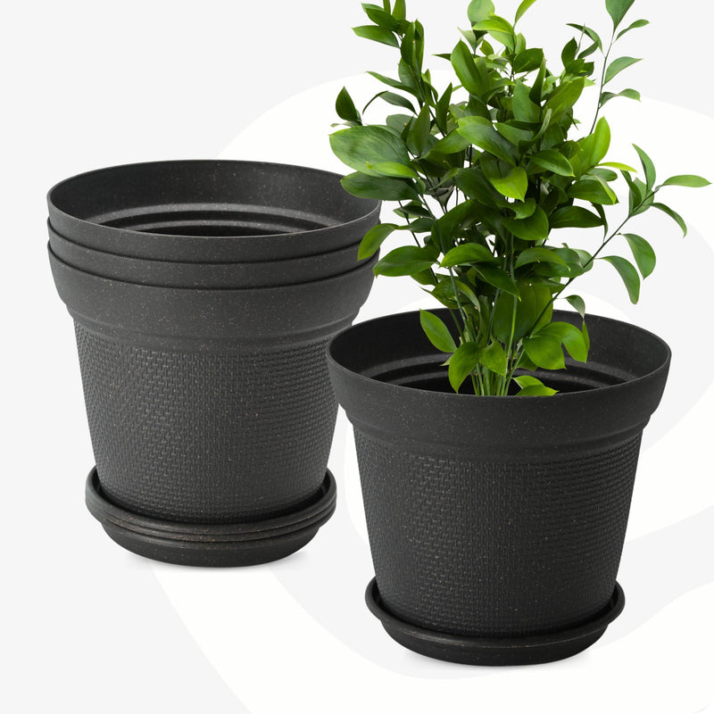 Eco Friendly Bamboo Based Pots - Inntinn.in