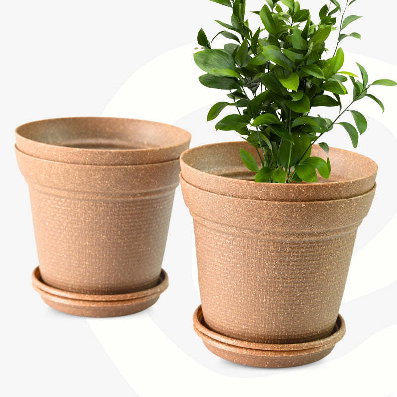 Eco Friendly Bamboo Based Pots - Inntinn.in