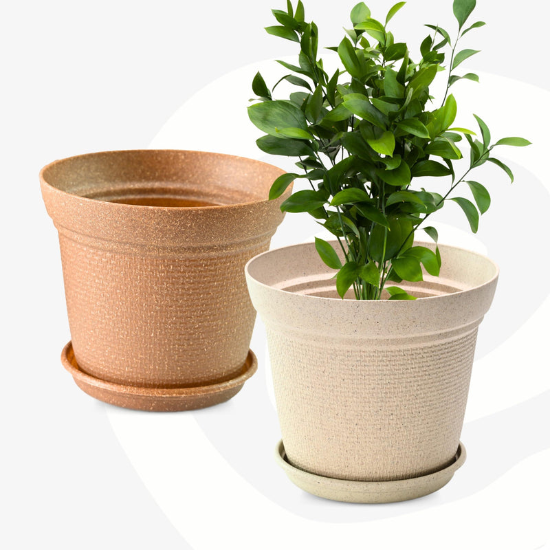 Eco Friendly Bamboo Based Pots - Inntinn.in