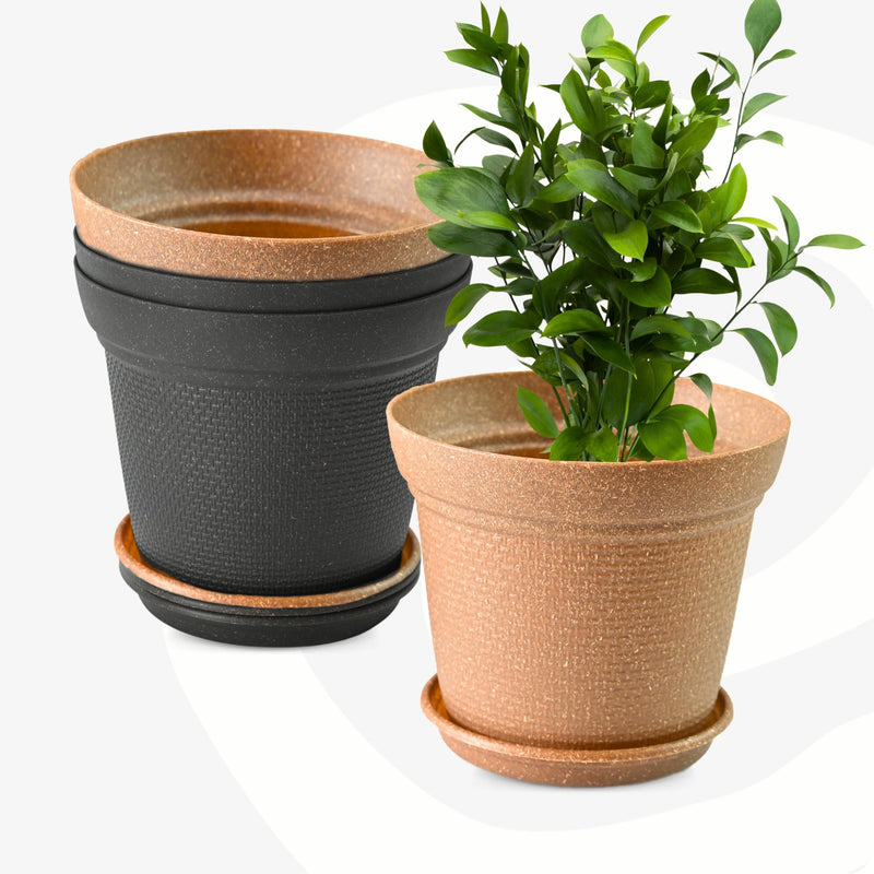 Eco Friendly Bamboo Based Pots - Inntinn.in