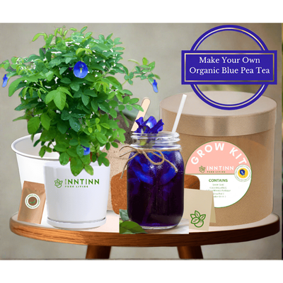 Grow Kit, Butterfly Pea - Inntinn.in