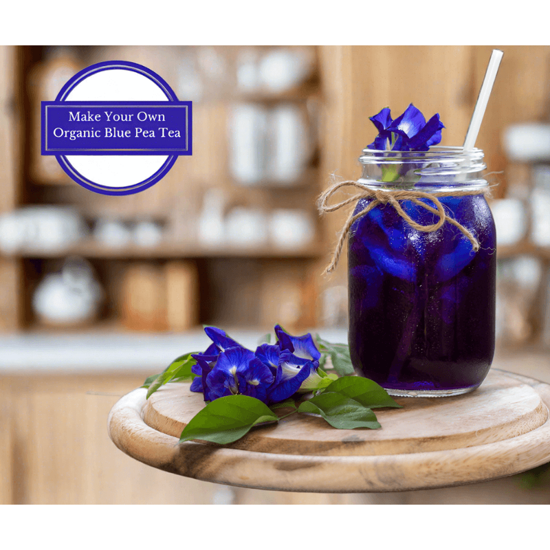 Grow Kit, Butterfly Pea - Inntinn.in