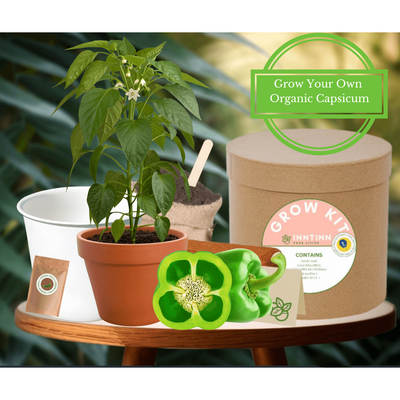 Grow Kit, Capsicum - Inntinn.in