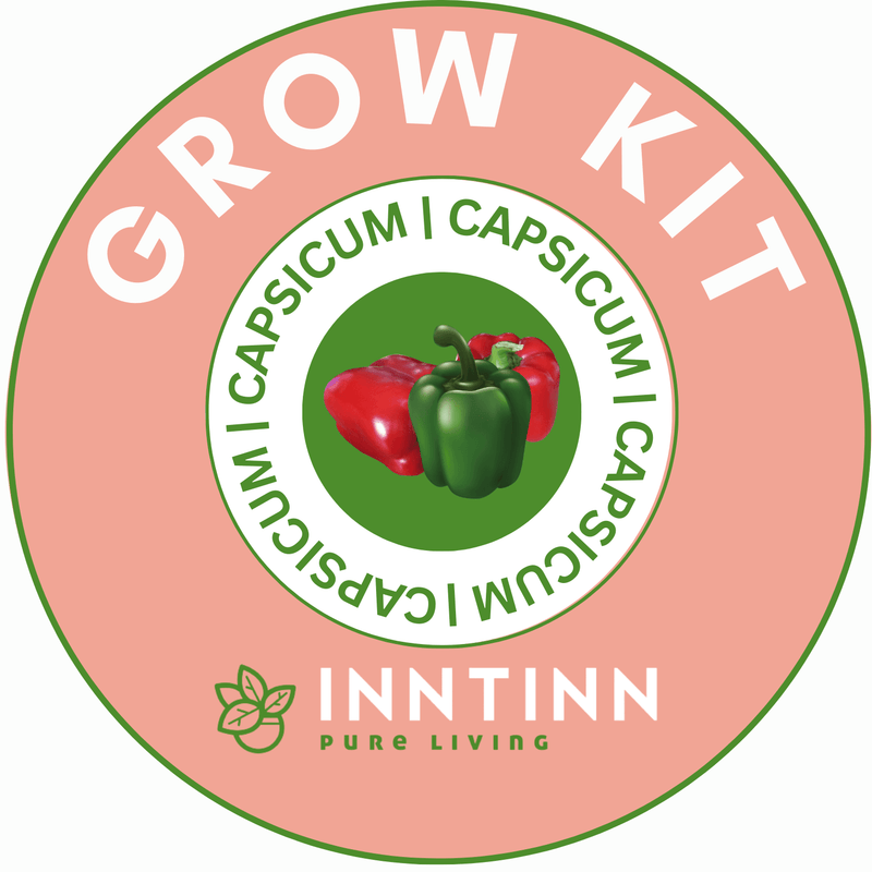 Grow Kit, Capsicum - Inntinn.in