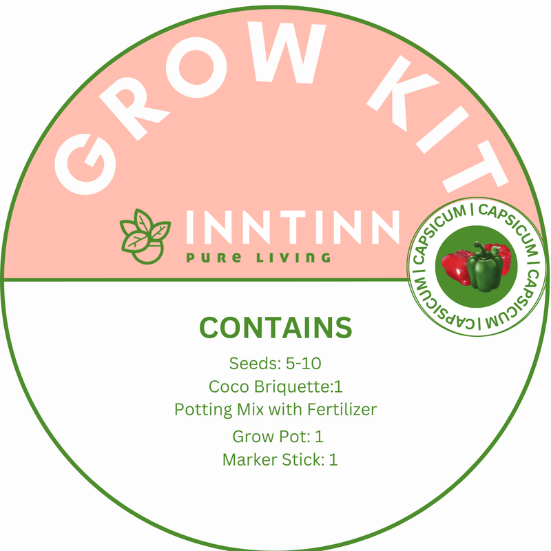 Grow Kit, Capsicum - Inntinn.in