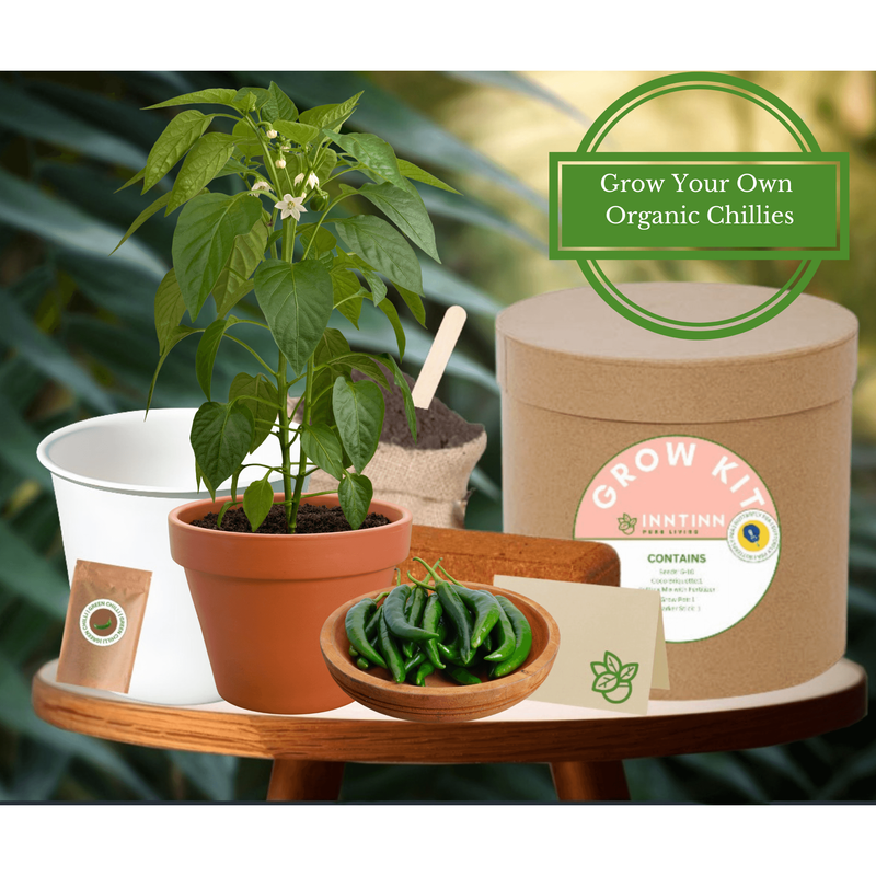 Grow Kit, Green Chili - Inntinn.in