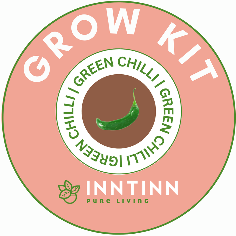 Grow Kit, Green Chili - Inntinn.in