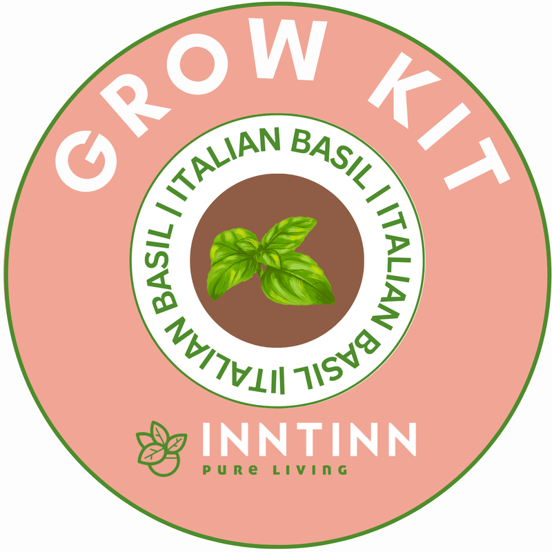Grow Kit, Italian Basil - Inntinn.in