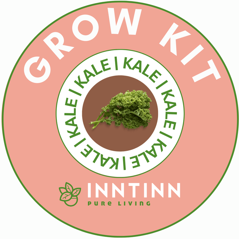 Grow Kit, Kale - Inntinn.in