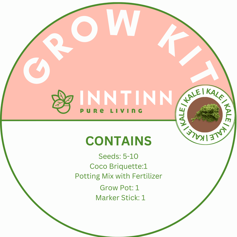 Grow Kit, Kale - Inntinn.in