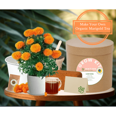 Grow Kit, Marigold - Inntinn.in