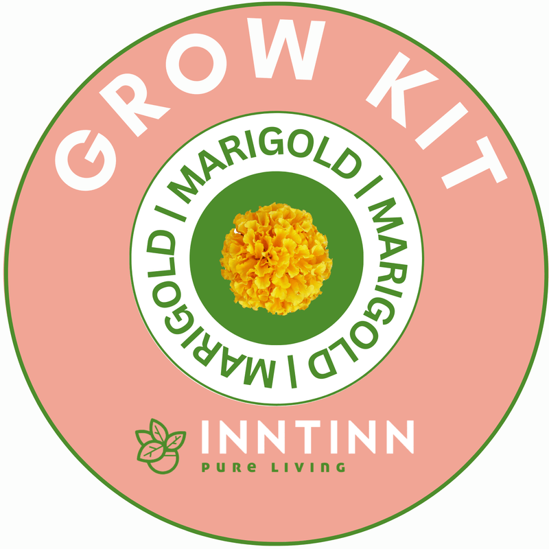 Grow Kit, Marigold - Inntinn.in