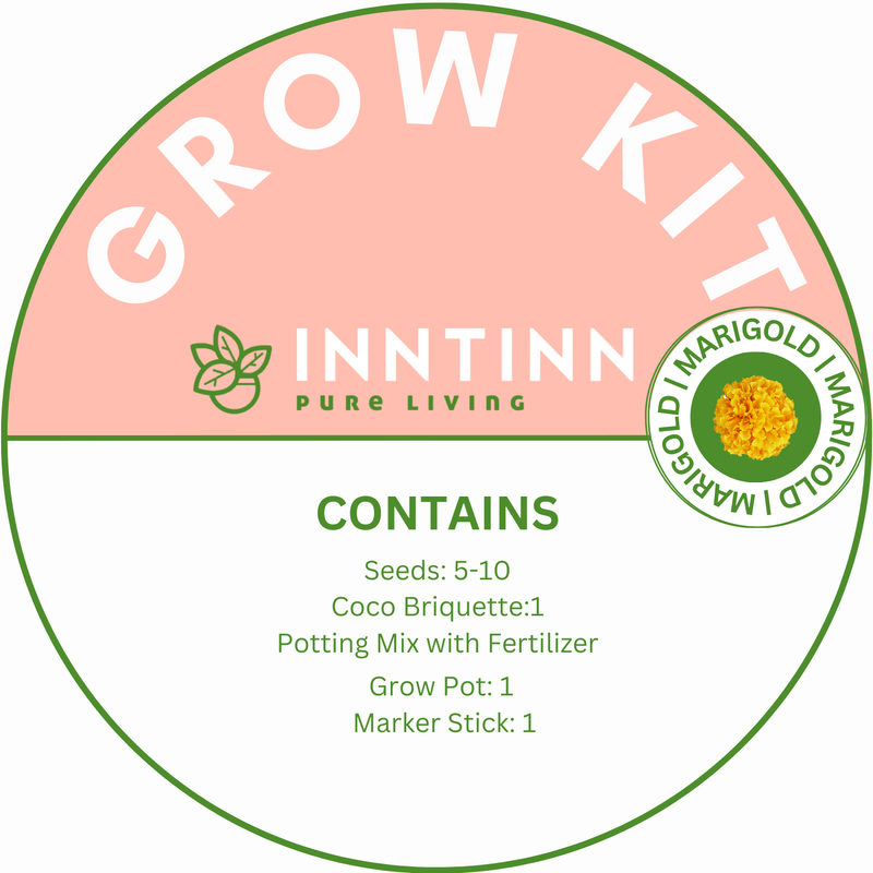 Grow Kit, Marigold - Inntinn.in