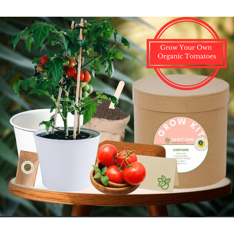 Grow Kit, Tomato - Inntinn.in