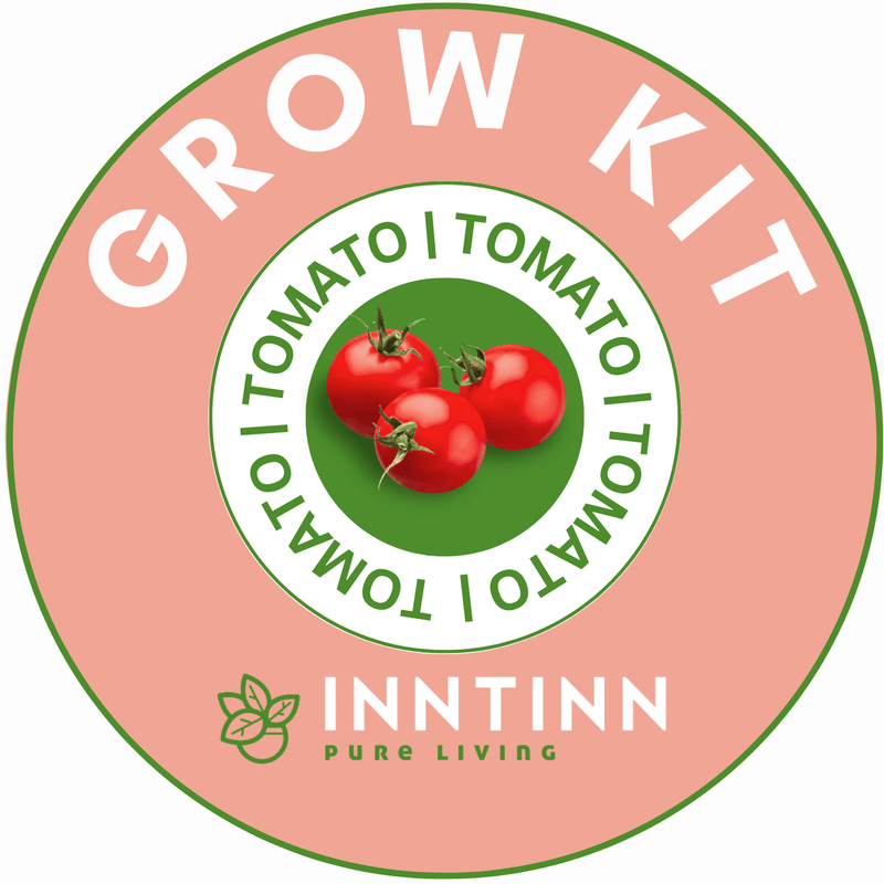 Grow Kit, Tomato - Inntinn.in