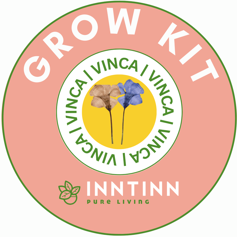 Grow Kit, Vinca - Inntinn.in