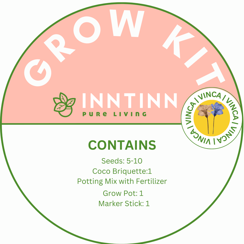 Grow Kit, Vinca - Inntinn.in