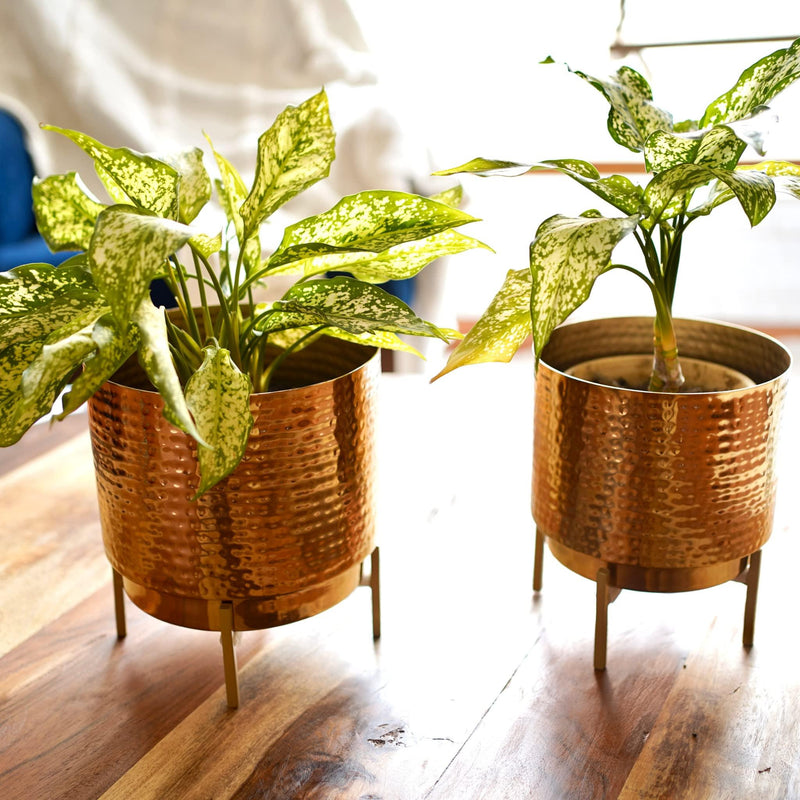 Hammered Metal Planter, Table Top - Inntinn.in