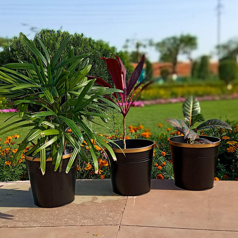 Metal Planters Large - Inntinn.in