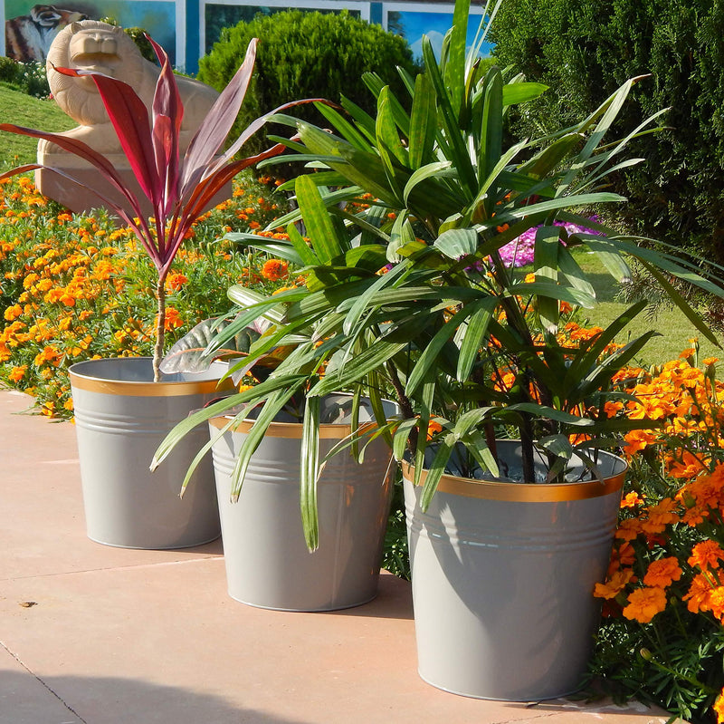 Metal Planters Large - Inntinn.in