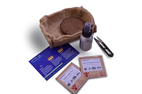 Sustainable Microgreens Kit - Inntinn.in