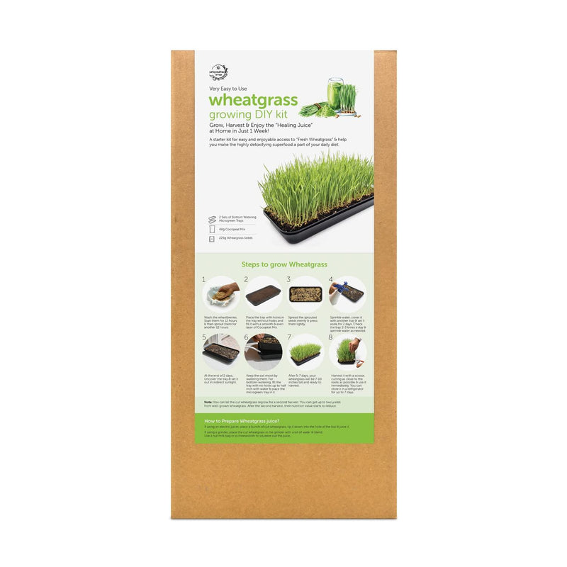 Wheatgrass DIY Grow Kit - Inntinn.in