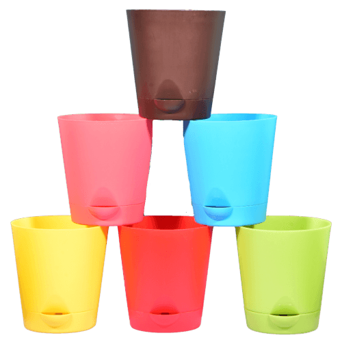 6 Self Watering Pots (4 Inches) - Inntinn.in