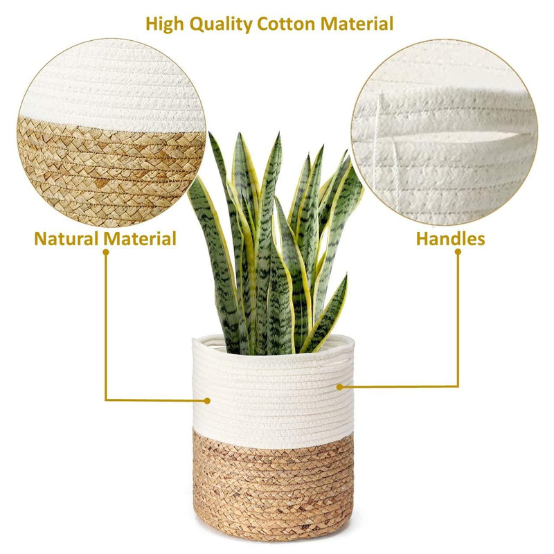 Rope Plant Basket | Woven Indoor Planter - Inntinn.in